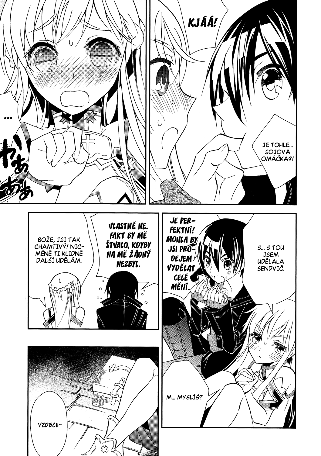 SAO_c05_003 kopie.png